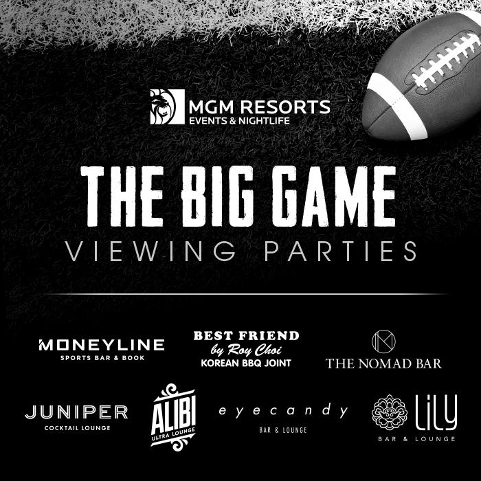 MGM Buffet Las Vegas Super Bowl Party w/ SayHiToMatthew 